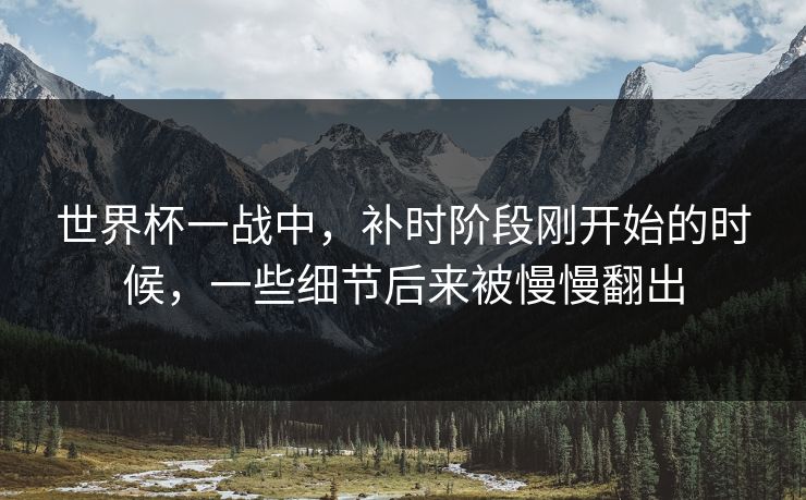 世界杯一战中，补时阶段刚开始的时候，一些细节后来被慢慢翻出